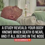 A Study Reveals: Your Body Knows When Death Is Near, And It All Begins In The Nose