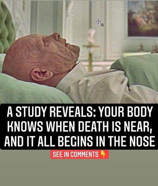 A Study Reveals: Your Body Knows When Death Is Near, And It All Begins In The Nose