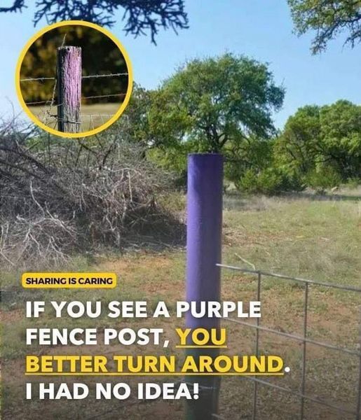 If You See a Painted Purple Fence, This Is What It Means