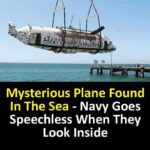 Mysterious plane found in the sea – Navy goes speechless when they look inside